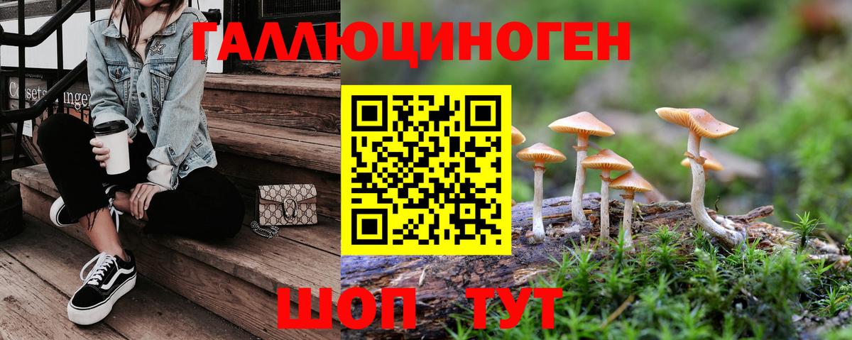 Кисловодск  Псилоцибиновые грибы мицелий  Вход с VPN 